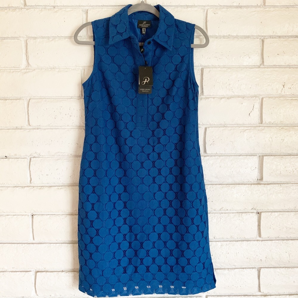 Adrianna Papell Indigo dot lace dress.